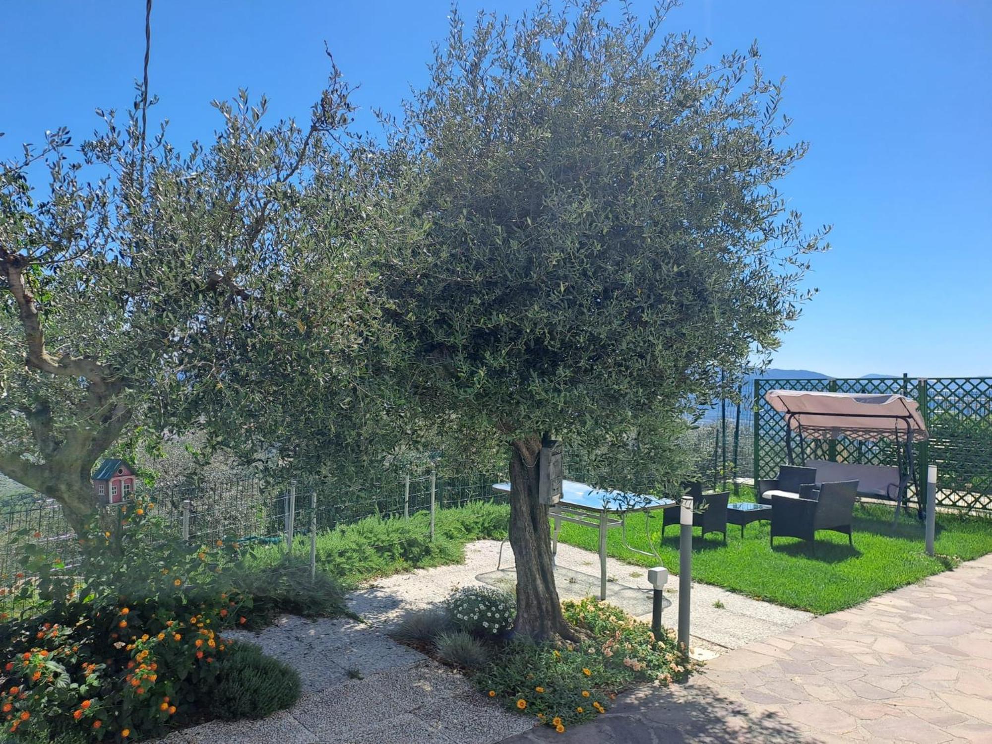 La Maesta Di Alice Holiday home